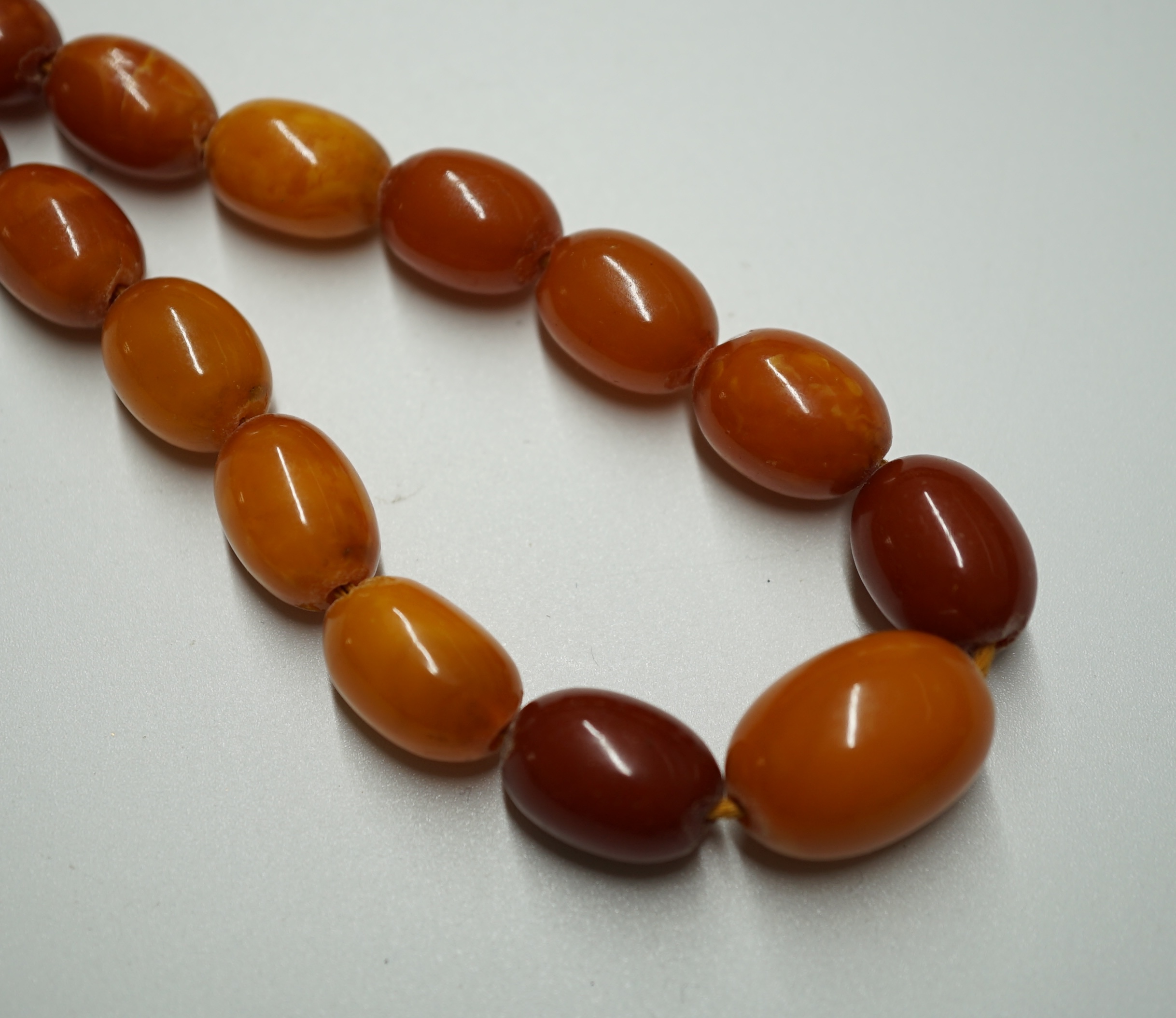 A single strand graduated oval amber bead necklace, 62cm, gross weight 33 grams